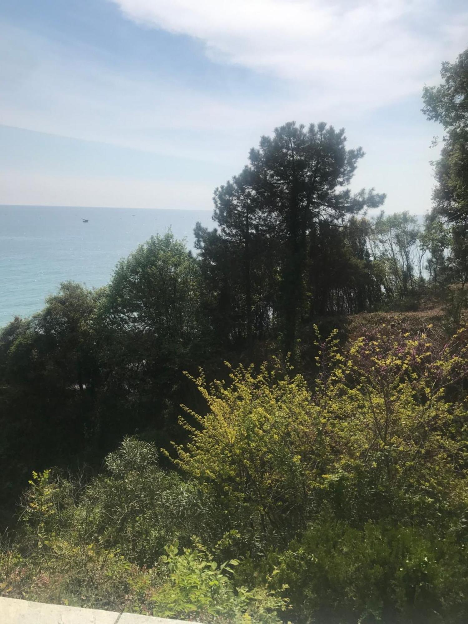 Zeusplace Seaside Home Private Beach And Parking Plaka Litochorou Bagian luar foto