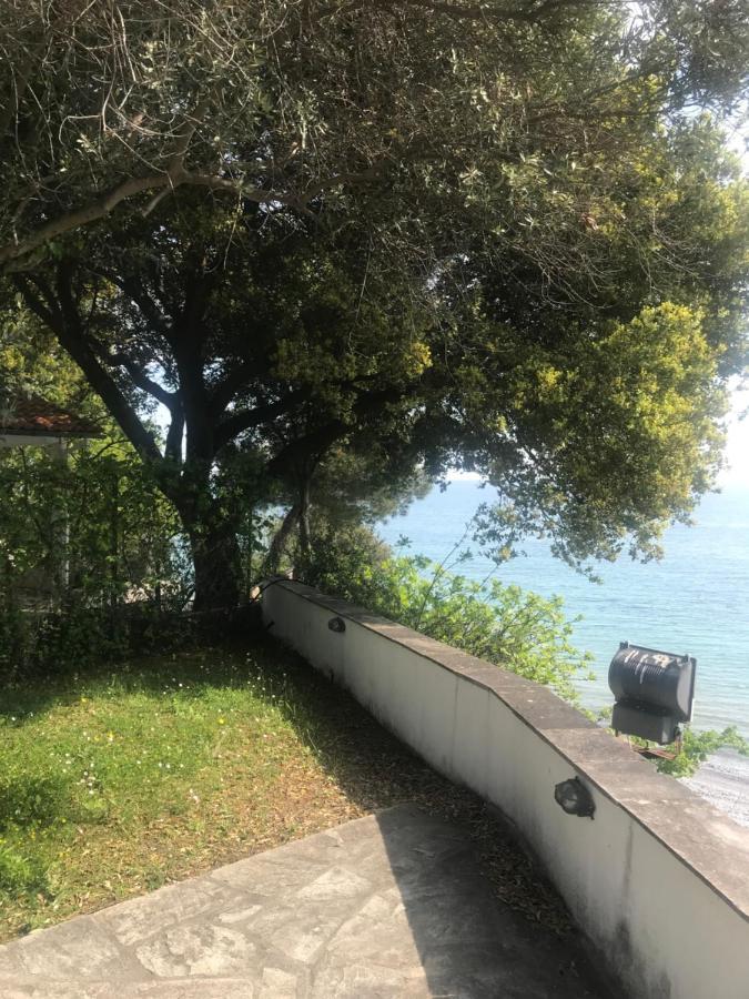 Zeusplace Seaside Home Private Beach And Parking Plaka Litochorou Bagian luar foto