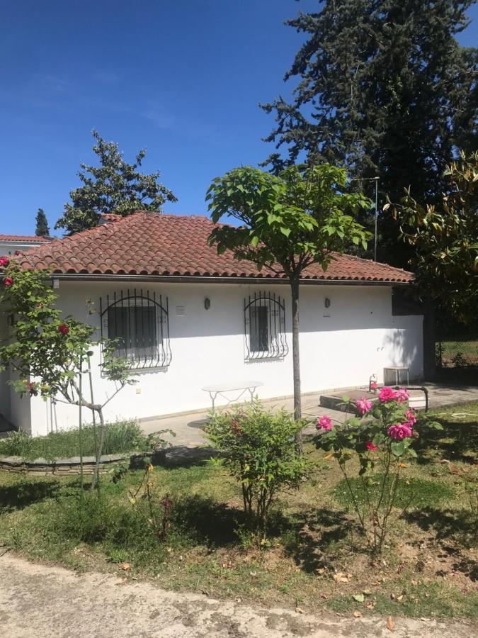 Zeusplace Seaside Home Private Beach And Parking Plaka Litochorou Bagian luar foto