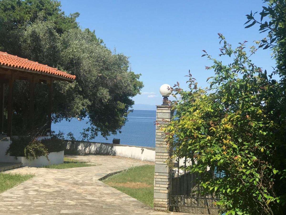 Zeusplace Seaside Home Private Beach And Parking Plaka Litochorou Bagian luar foto