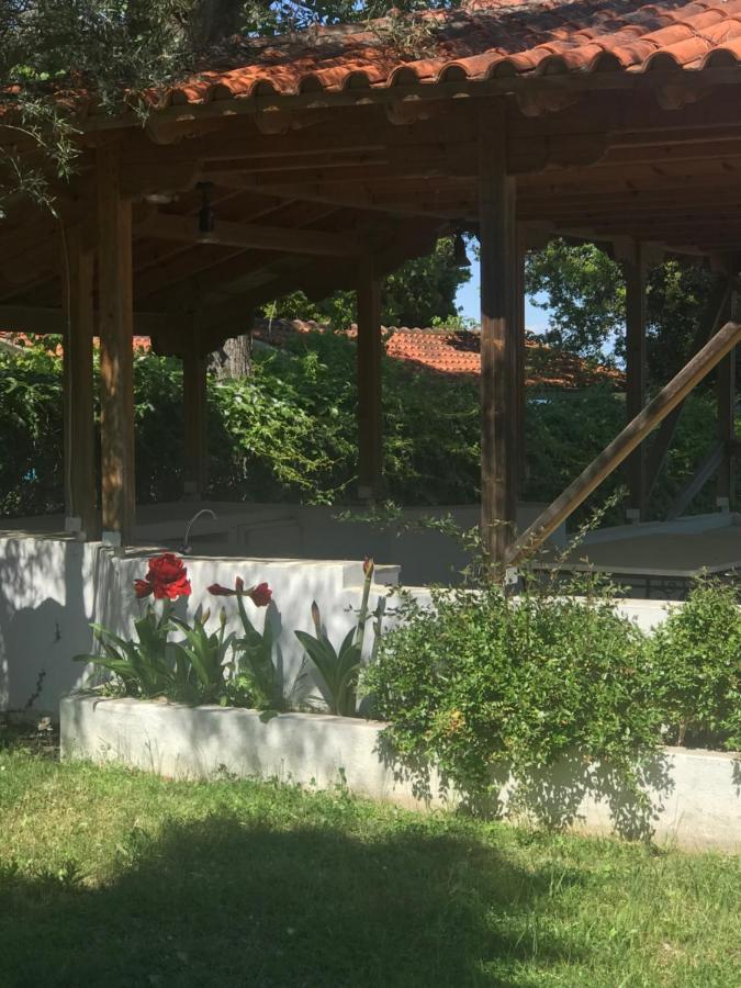 Zeusplace Seaside Home Private Beach And Parking Plaka Litochorou Bagian luar foto